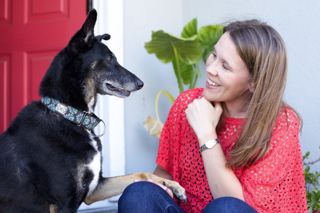 A dog and a woman are sitting on a front porch. There is a red door, gray house and elephant ear plant in the background. The dog is black with some white and tan markings, pricked ears, and a brown & aqua collar. He's placed one tan leg/paw on the woman's lap. The woman is smiling into his eyes. She has brown hair with highlights, an orange lace top, and blue jeans. Her chin is resting on her arm which also has a silver watch on it.