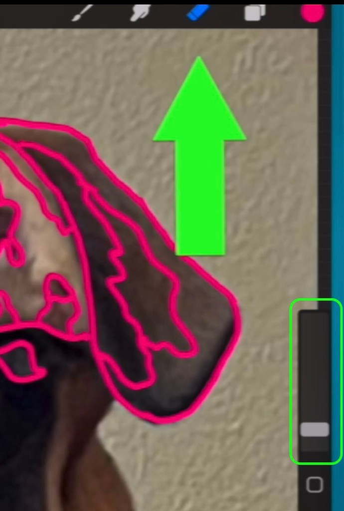 A dog's ear is pictured against a cream wall. Pink drawn lines outline shades of color in the fur. A bright green arrow points to a blue eraser along the top menu bar. A green square highlights the size slider on the screen.
