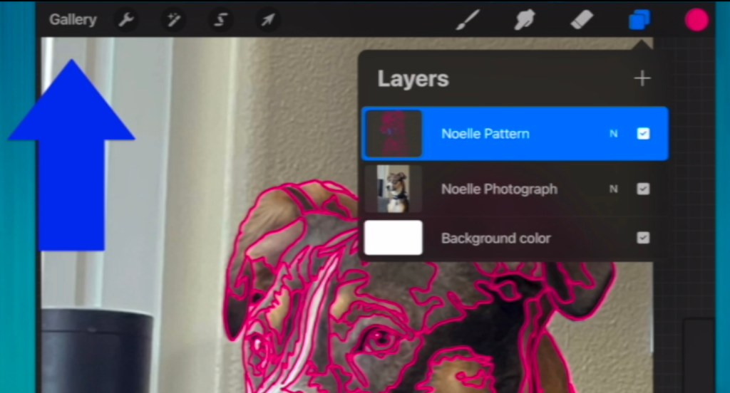 The top half of a dog's head with pink lines tracing shades of color in its fur is shown as the backdrop to two menu items. On the right, the Layers menu in Procreate is open to show all layers checked. On the left a blue arrow points to the menu bar section that reads "Gallery"