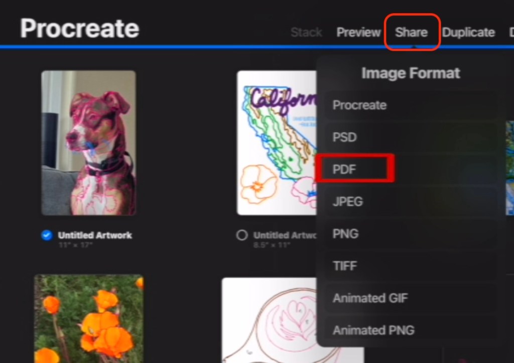 The Procreate gallery is shown with "Procreate" in white lettering across the top and four partial images (one of a dog, one of a topgraphical map of California, poppies, and the outlines of a latte). The "Share" menu is open and circled in red. The drop down selection for "PDF" also has a red outline.